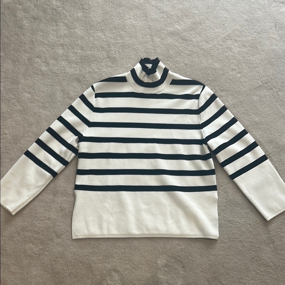 Striped Turtleneck Sweater
